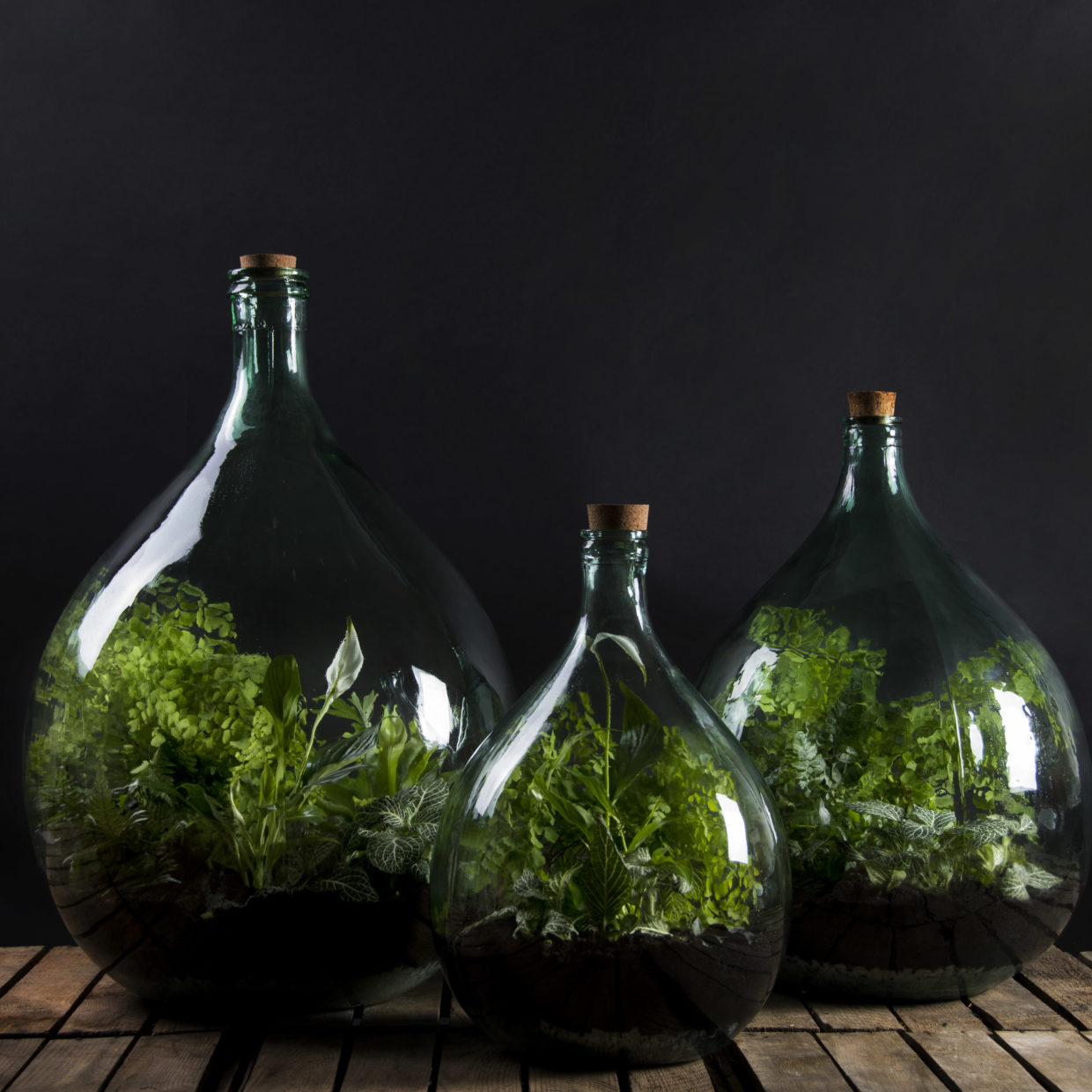 Terrarium Bottle 35L