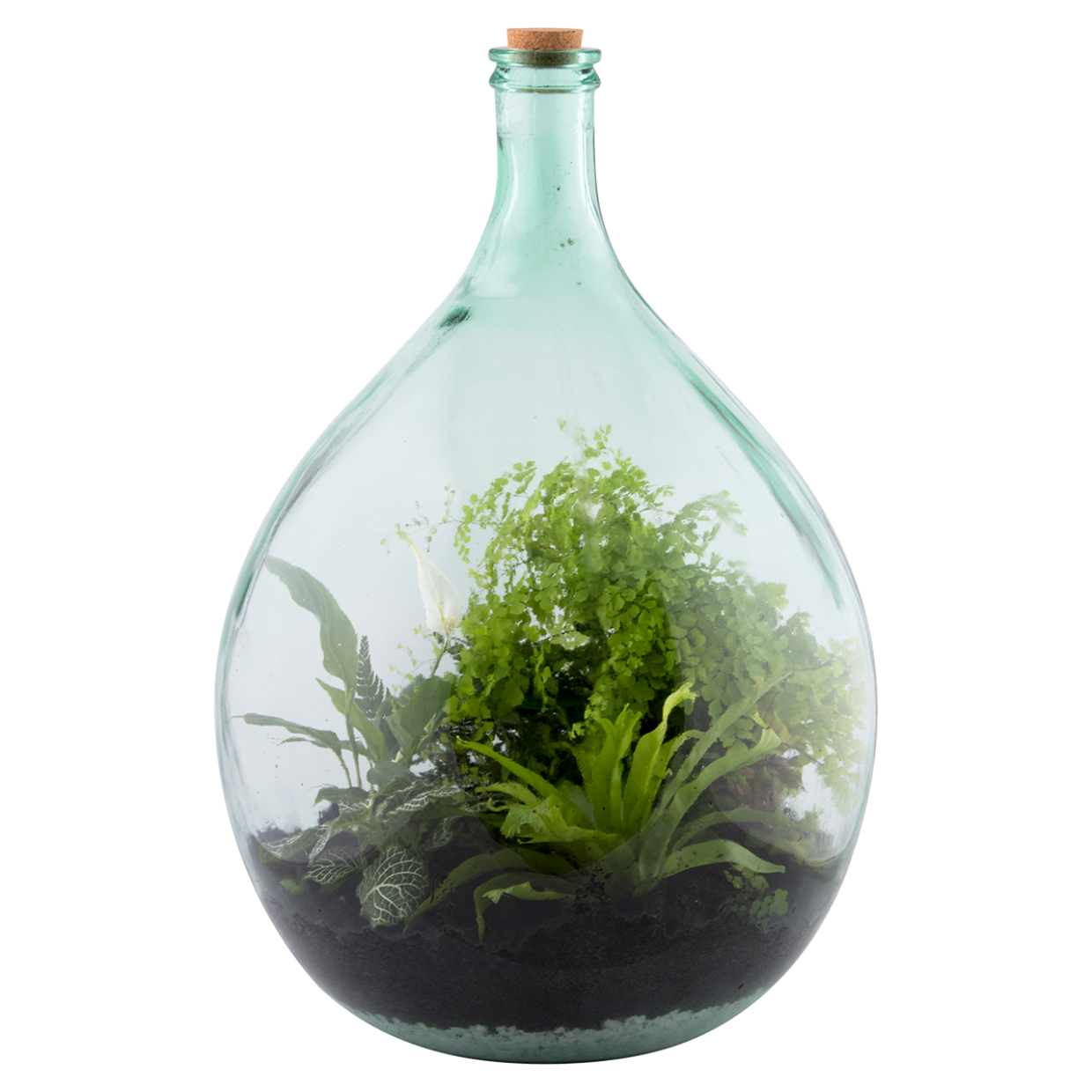 Terrarium Bottle 55L