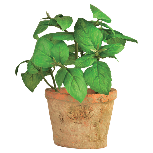 Artificial Basil In Terracotta Pot