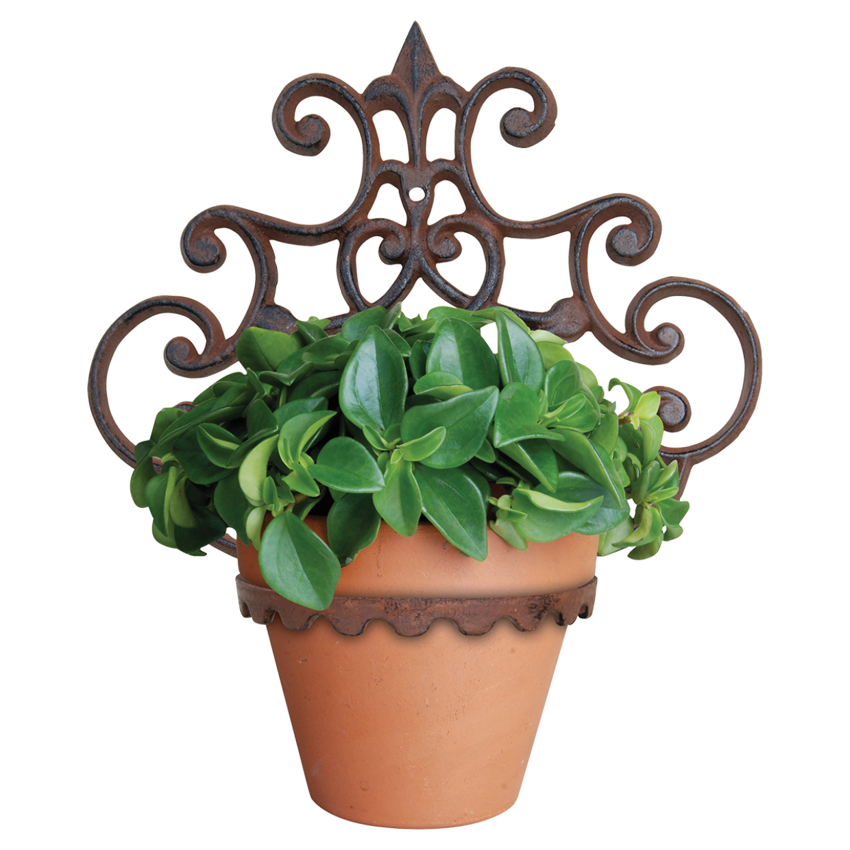 Cast Iron Flower Pot Holder