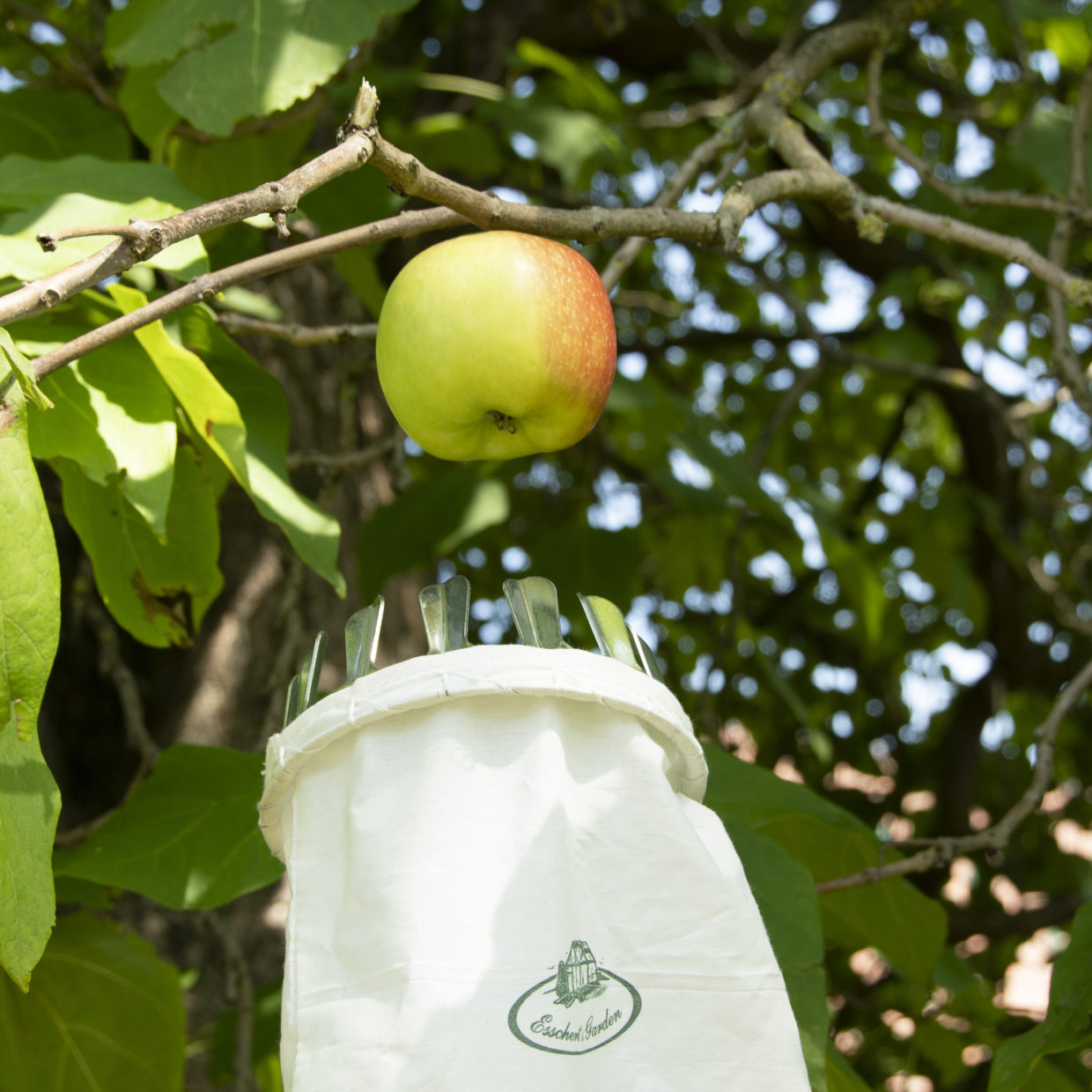Fruit Picker Metal/Fabric