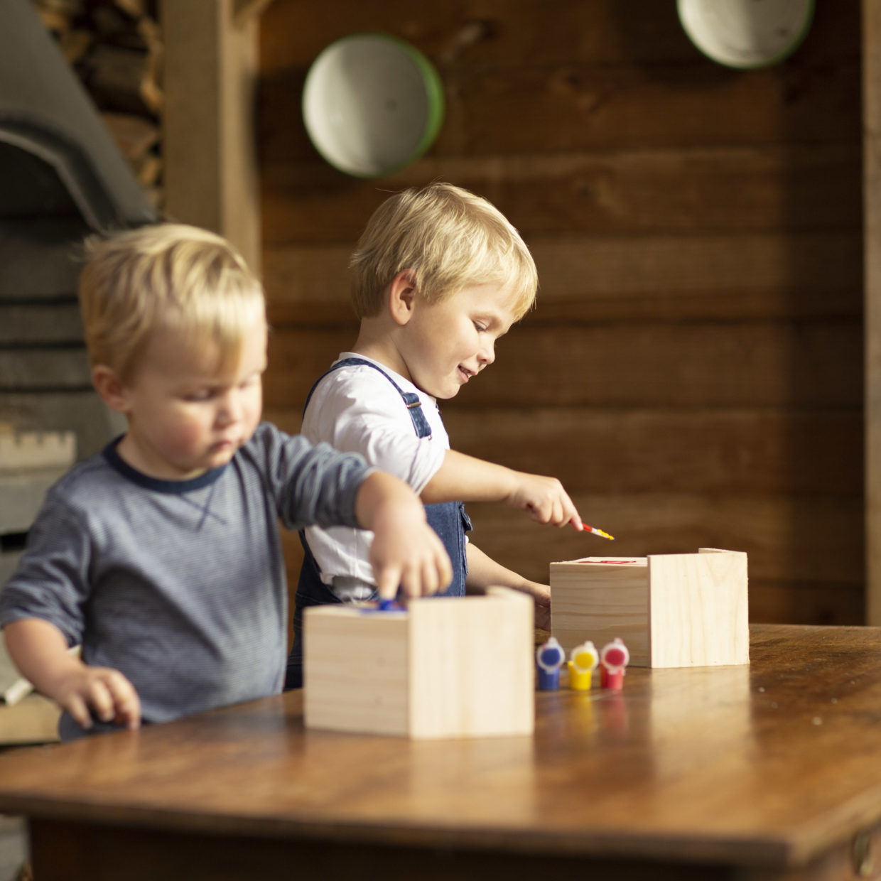 DIY Bird House with Paint