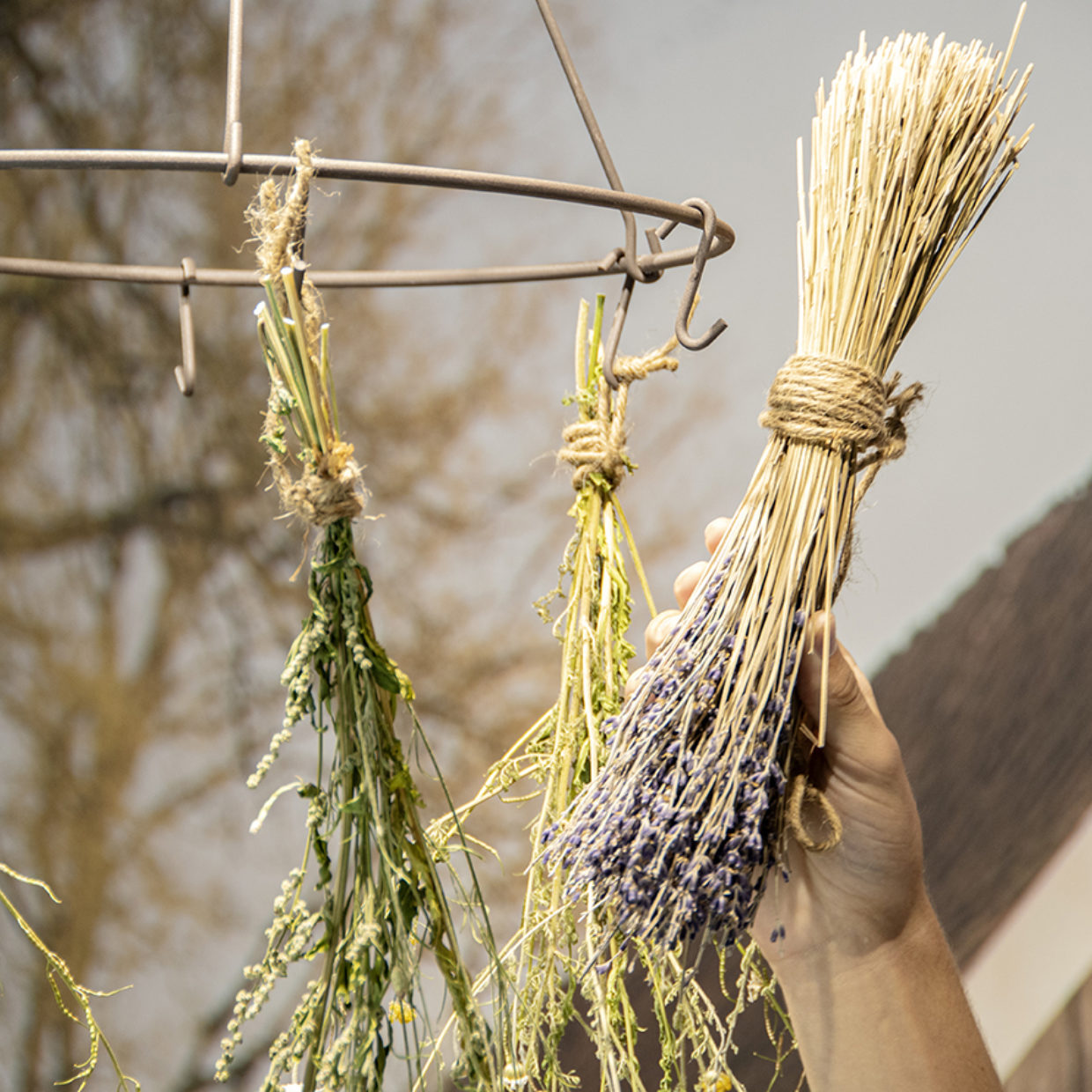 Dried Flower Herb Rack