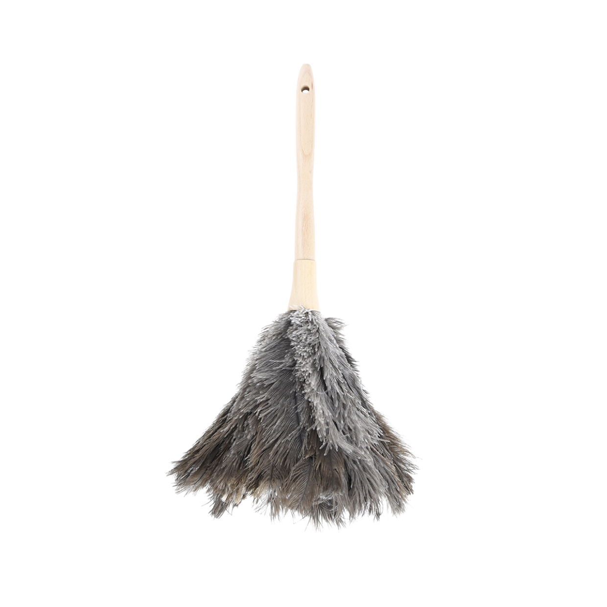 Feather Duster