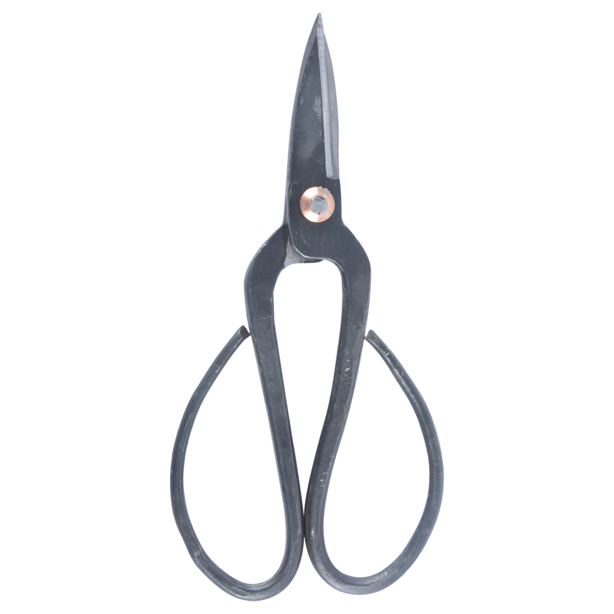 Bonsai Shears