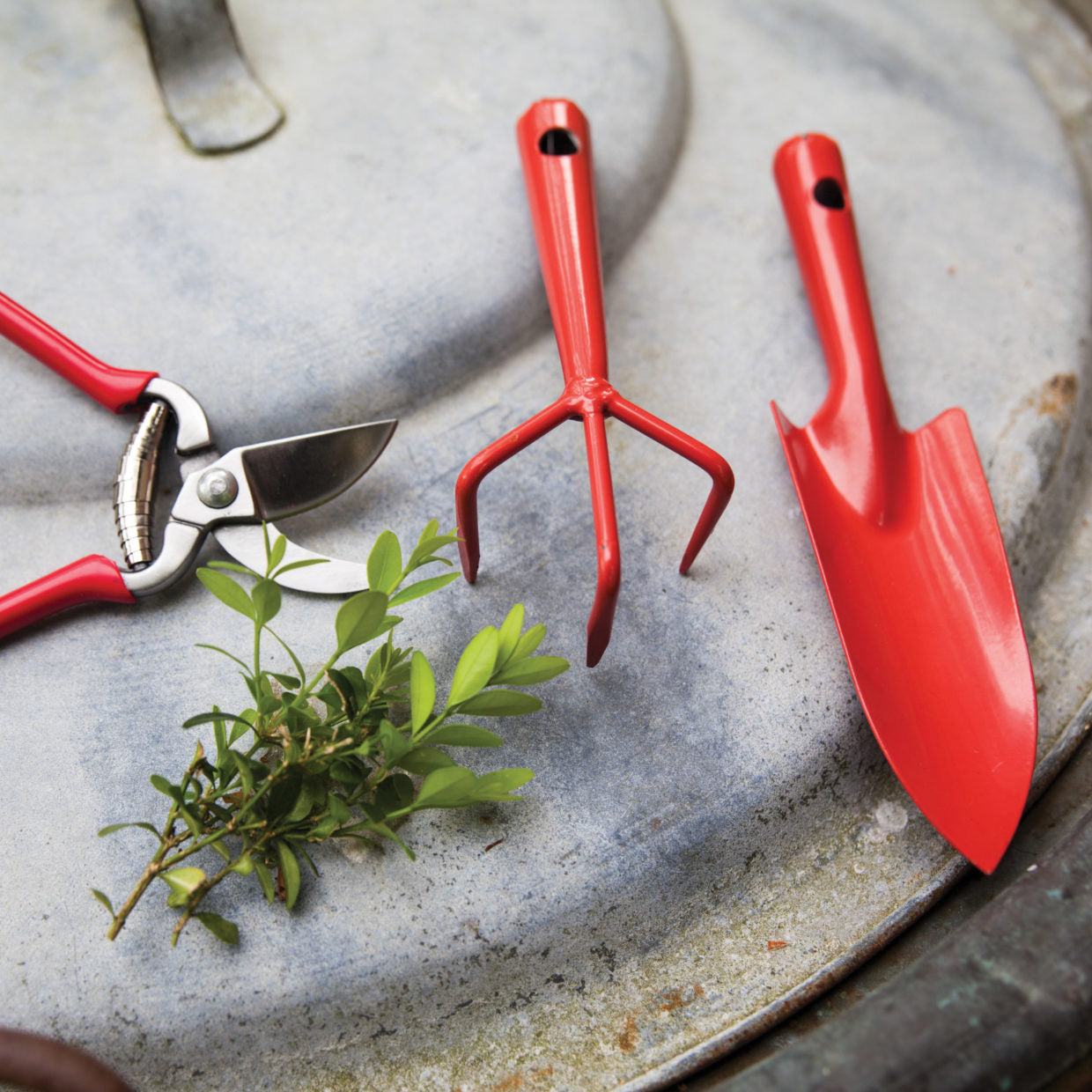 Pruner with Red Handle