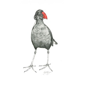 Art Print Ecko Pukeko