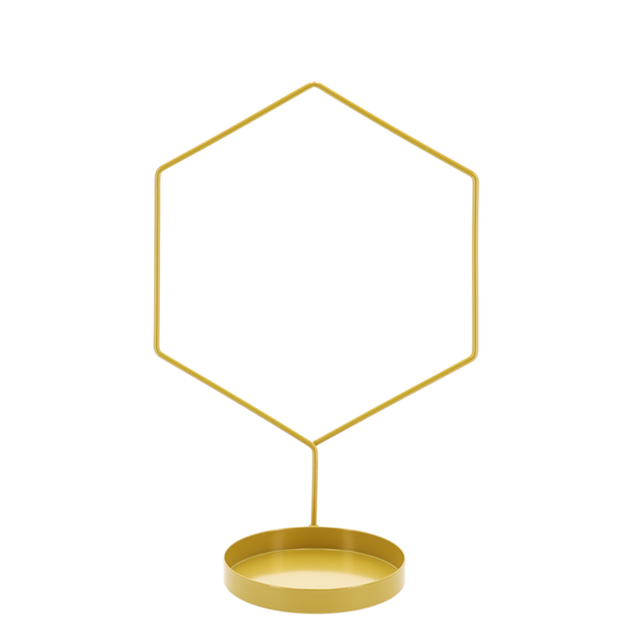 Indoor Plant Support + Saucer Hexagon Gold