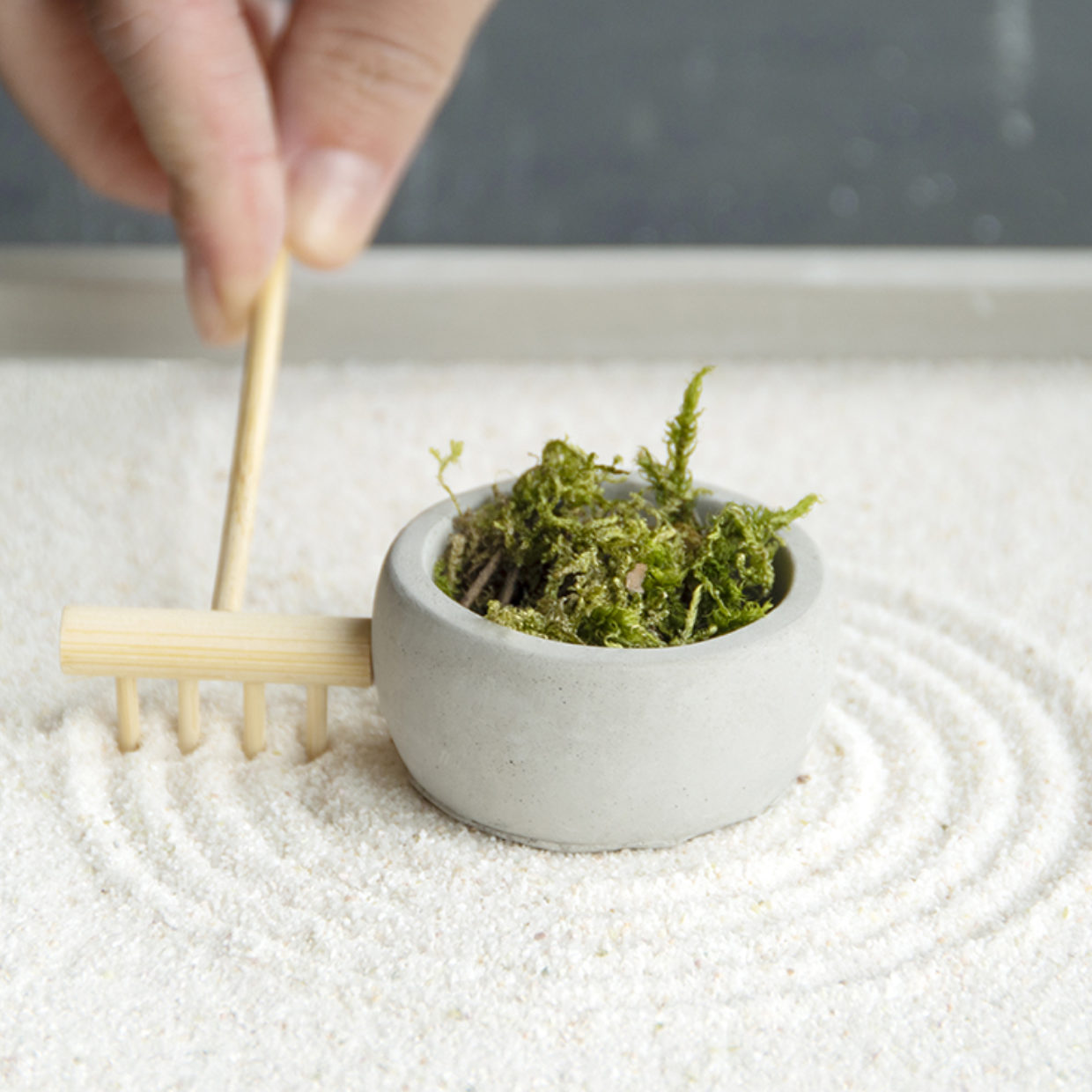 Zen Garden Rectangular