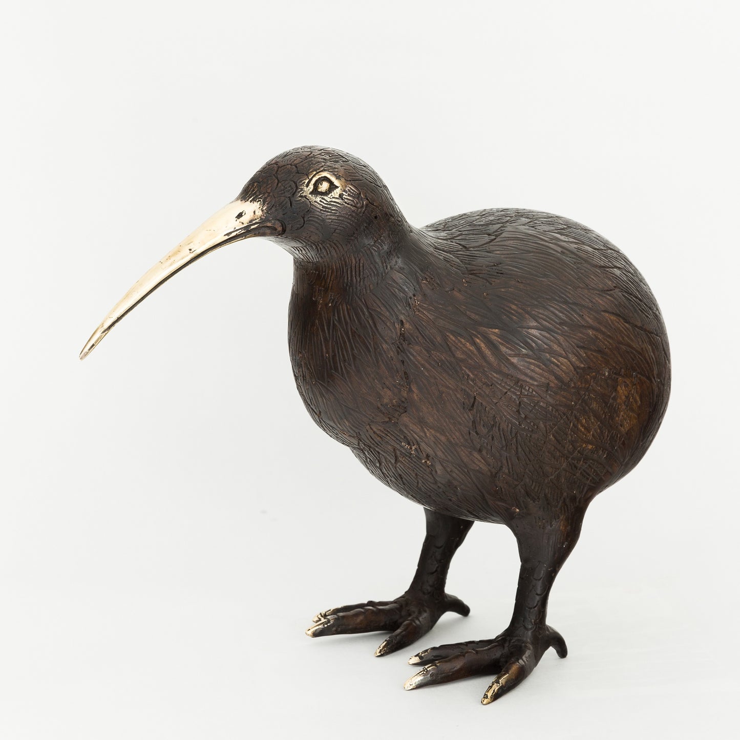 Antique Brass Kiwi 2XL