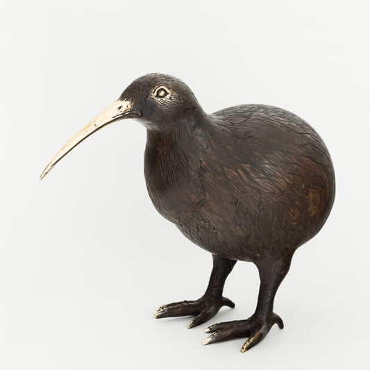 Antique Brass Kiwi 2XL