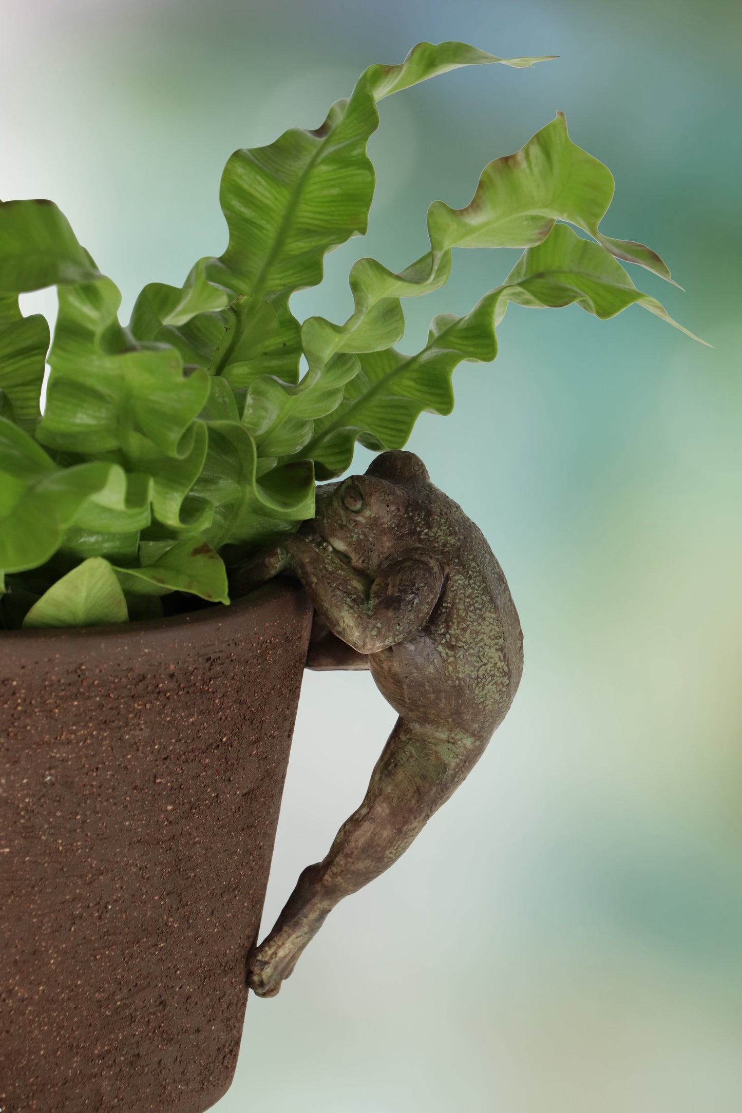 Pot Hanger Frog