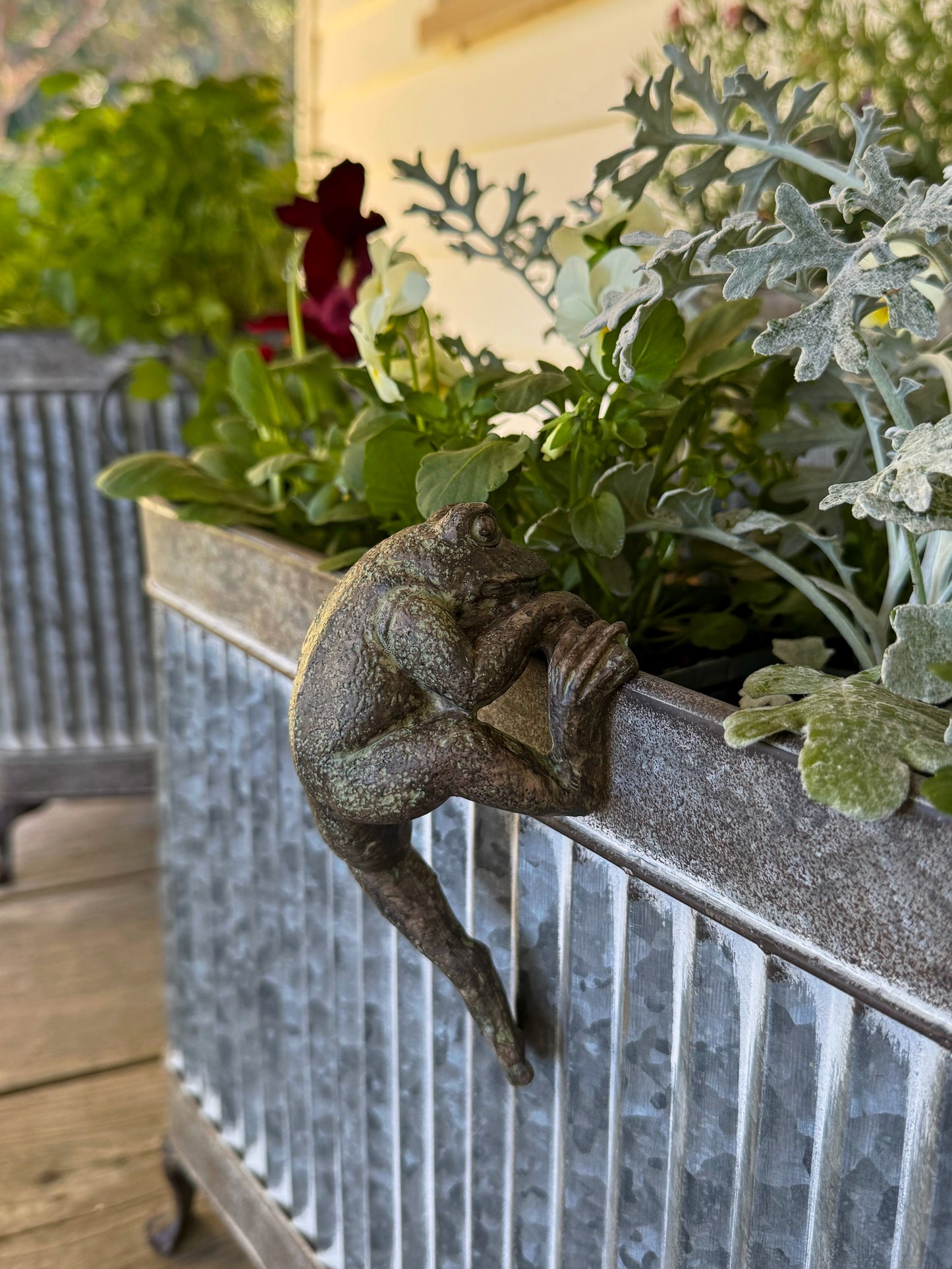 Pot Hanger Frog