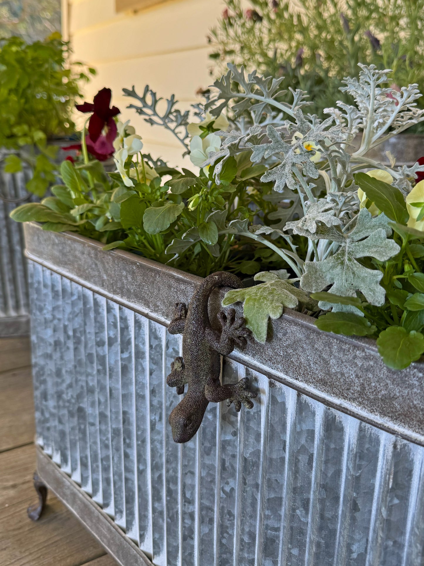 Pot Hanger Lizard