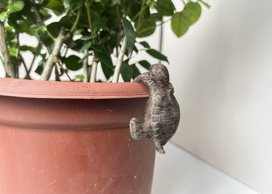 Pot Hanger Turtle