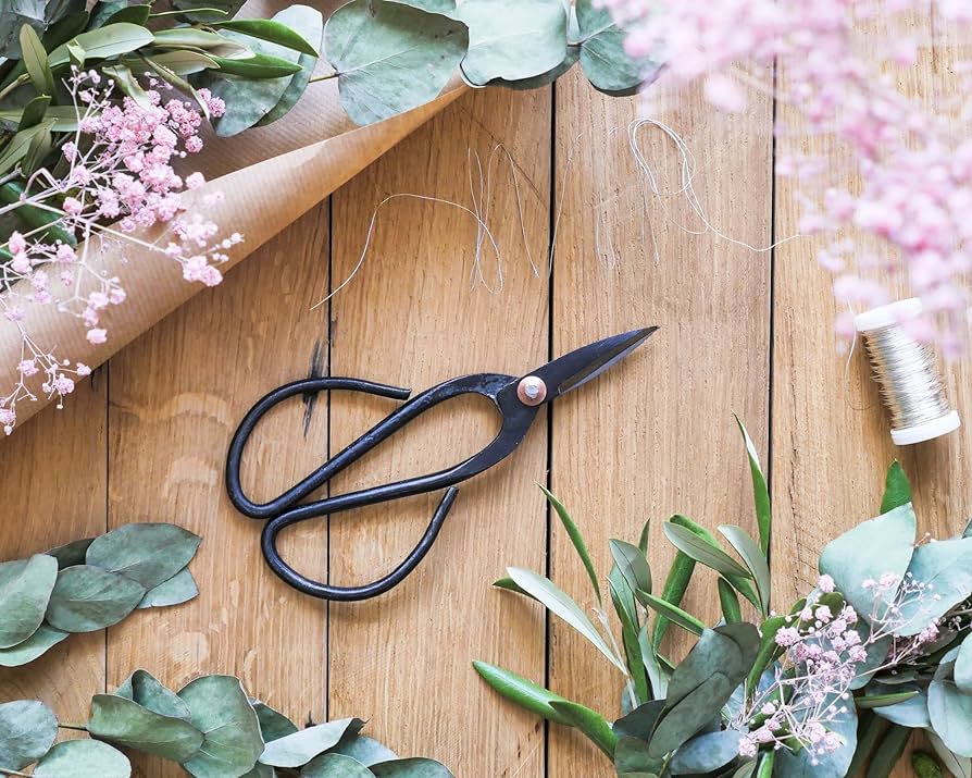 Bonsai Shears