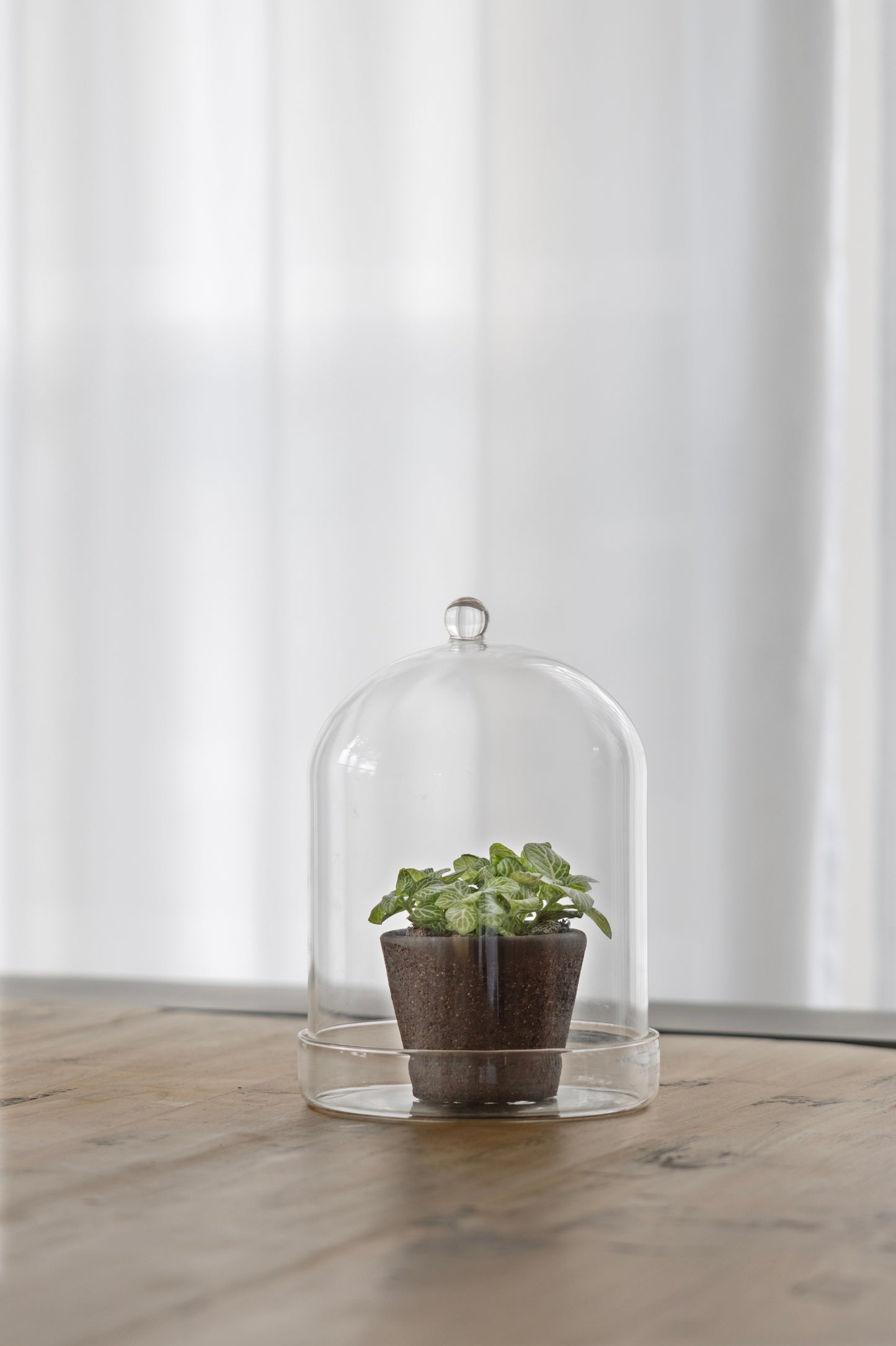 Bell Jar Glass with Bowl 16cm