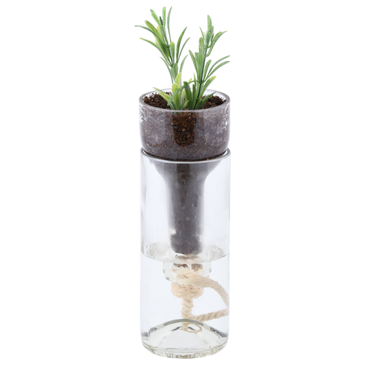 Planter Self-Watering Bottle