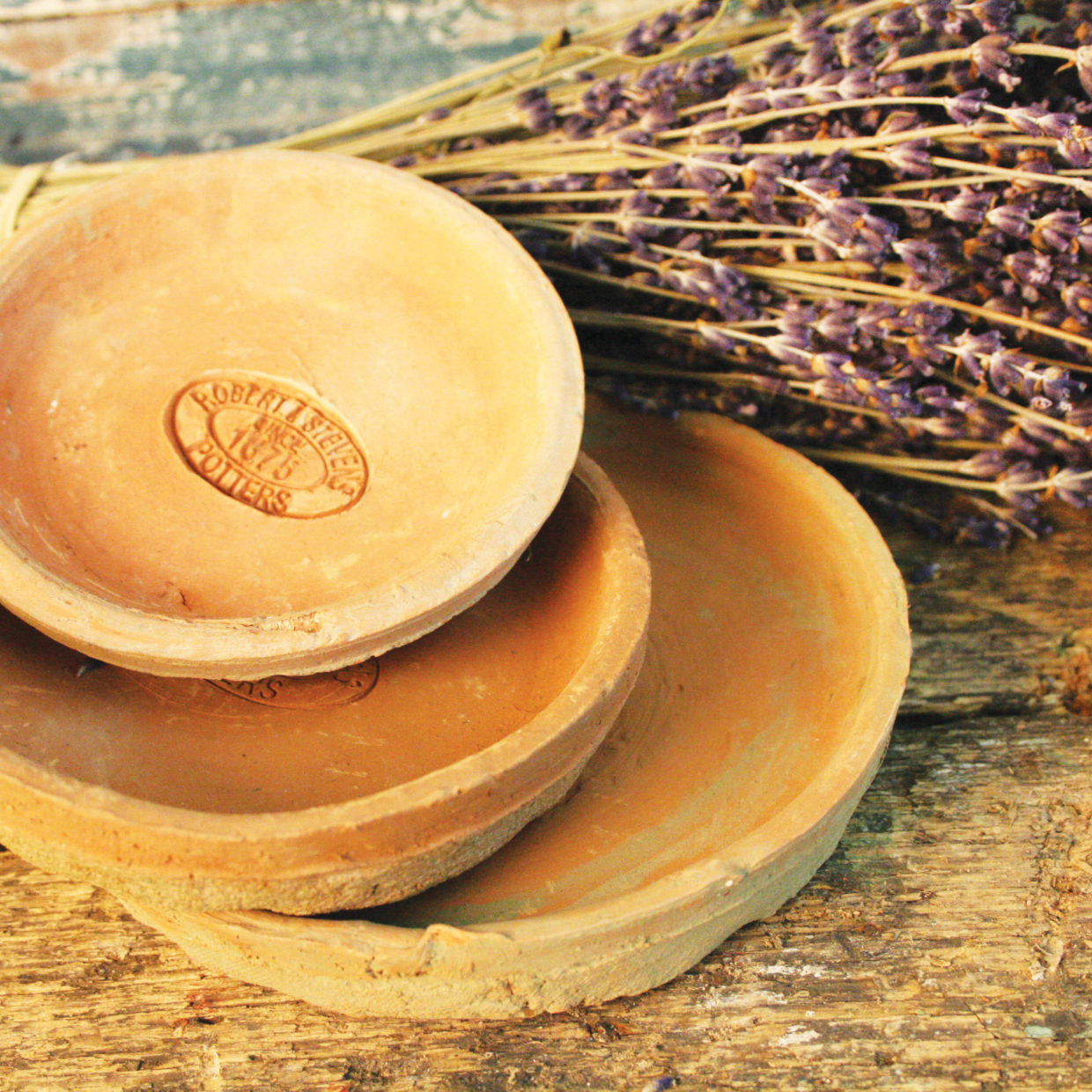 Aged Terracotta Saucer Set/3