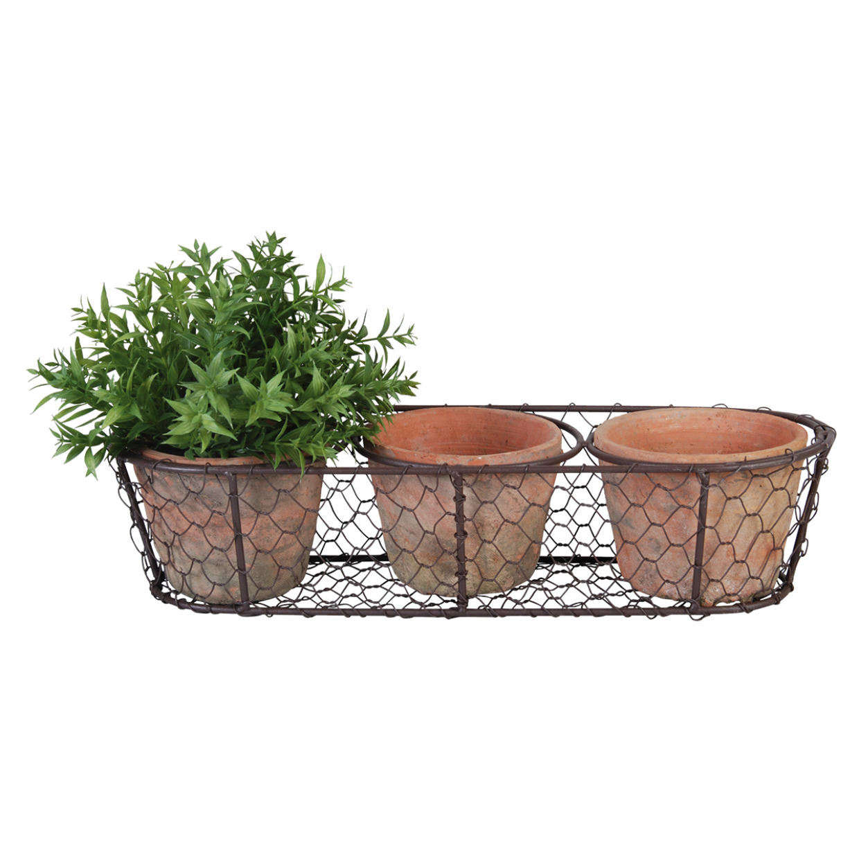 Aged Terracotta 3 Pots in Wire Basket