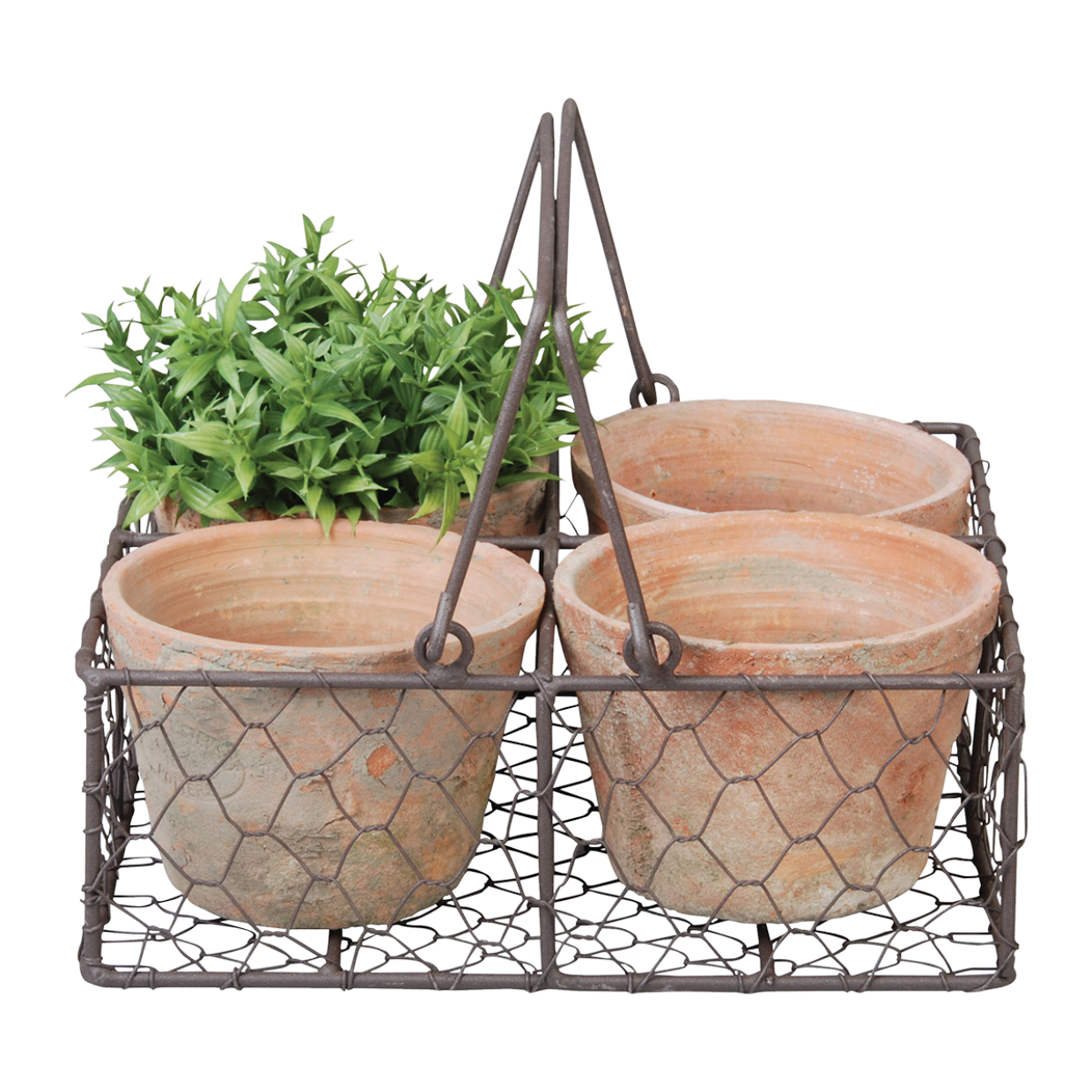Aged Terracotta 4 Pots in Wire Basket w/ Handle