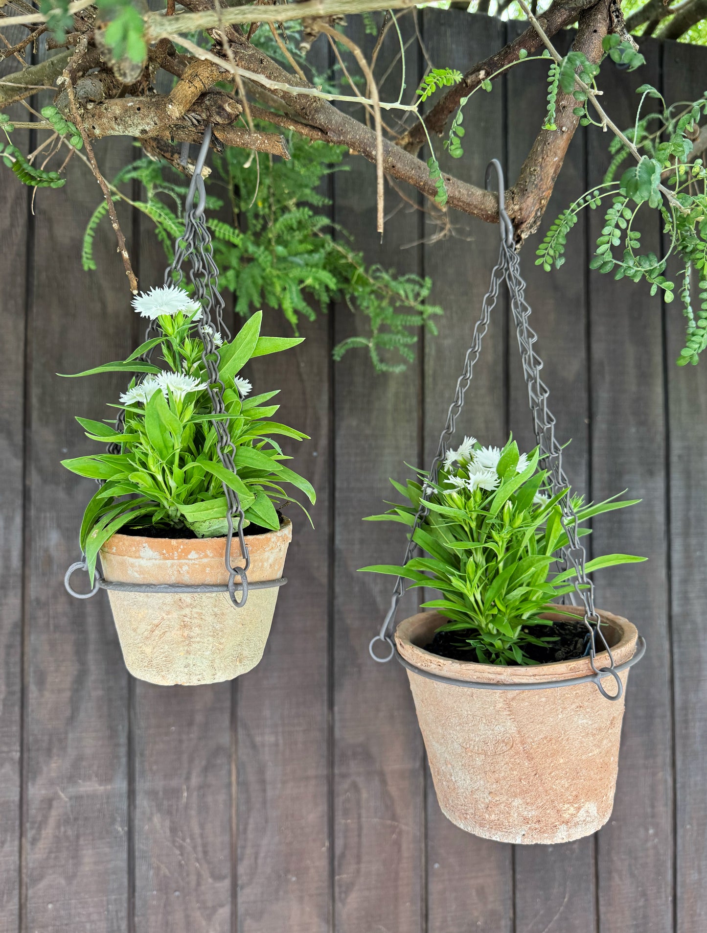 Terracotta Hanging Pot Small