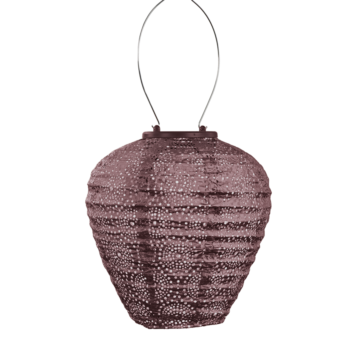 Lumiz Lantern Balloon 20cm Plum Occult