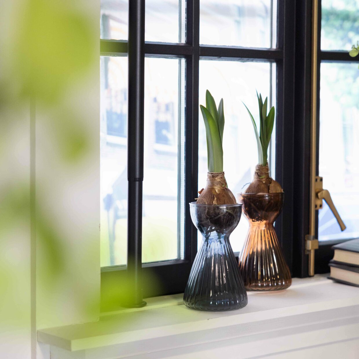 Bulb Vase Amaryllis Amber