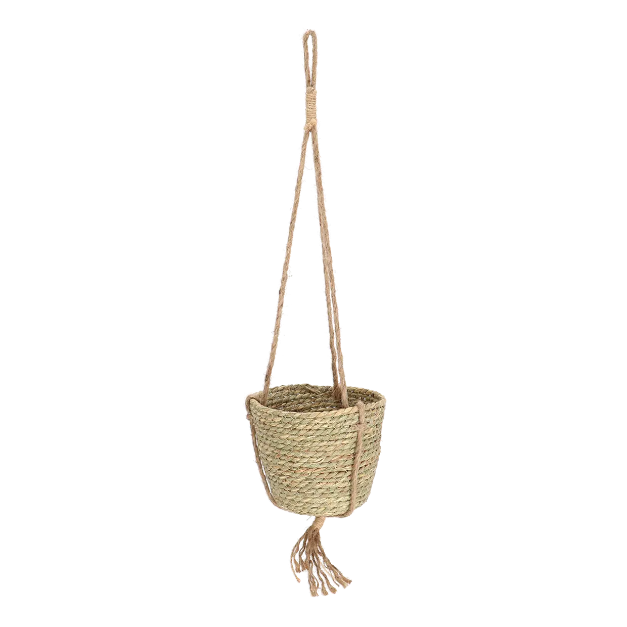 Indoor Hanging Basket 15cm