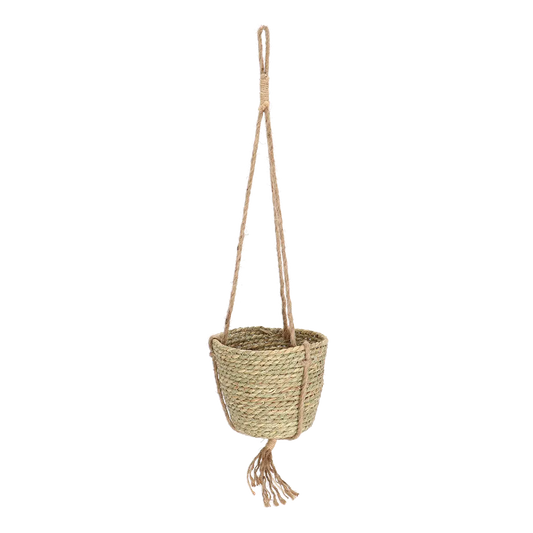 Indoor Hanging Basket 15cm