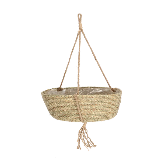 Indoor Hanging Basket 25cm
