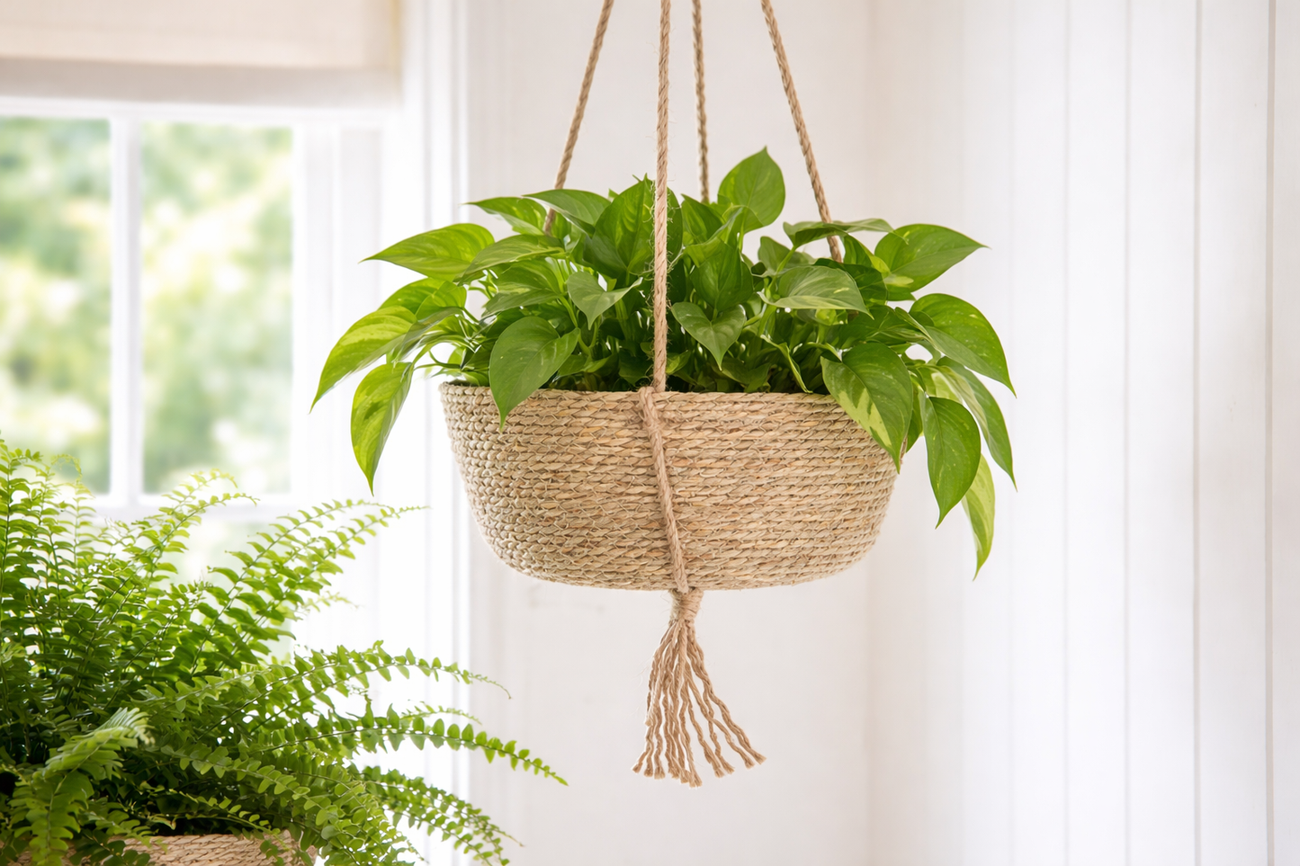 Indoor Hanging Basket 25cm