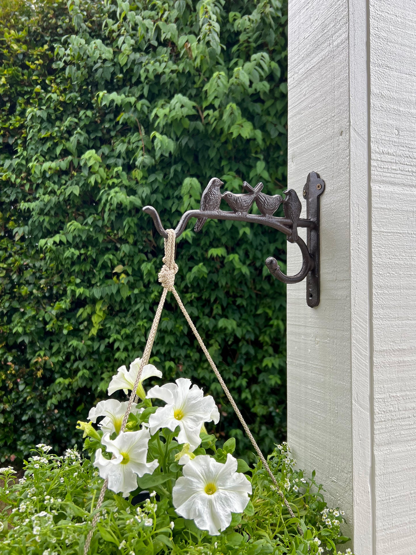 Cast Iron Basket Hanging Hook With Birds