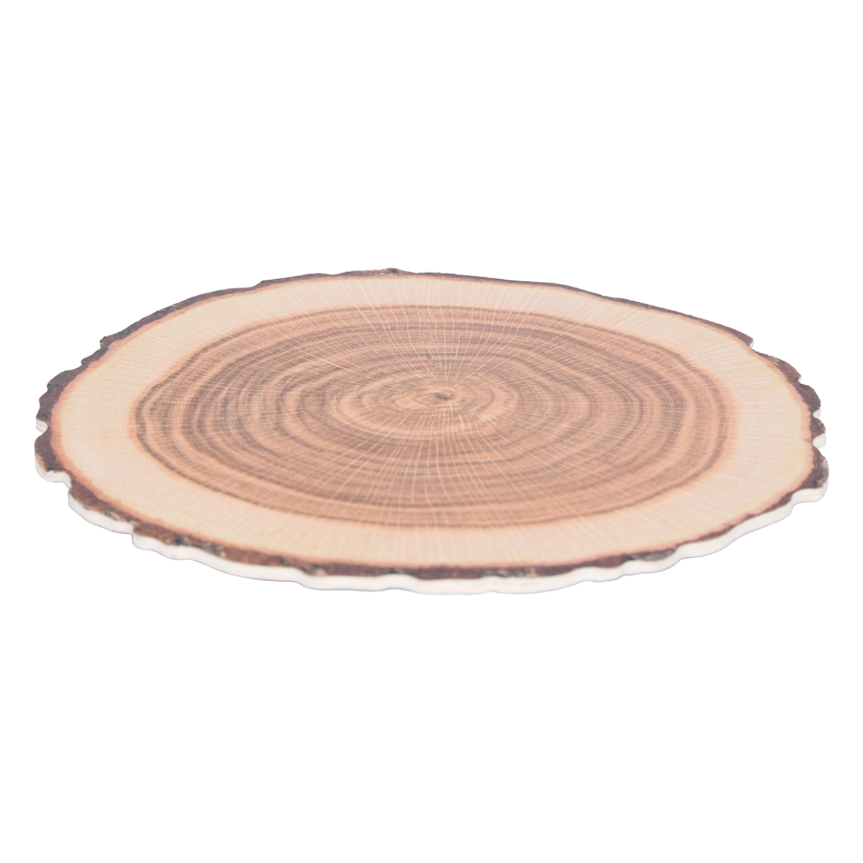 Paper Coasters Tree Trunk Set of 10