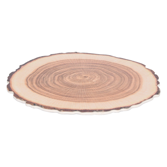 Paper Coasters Tree Trunk Set of 10