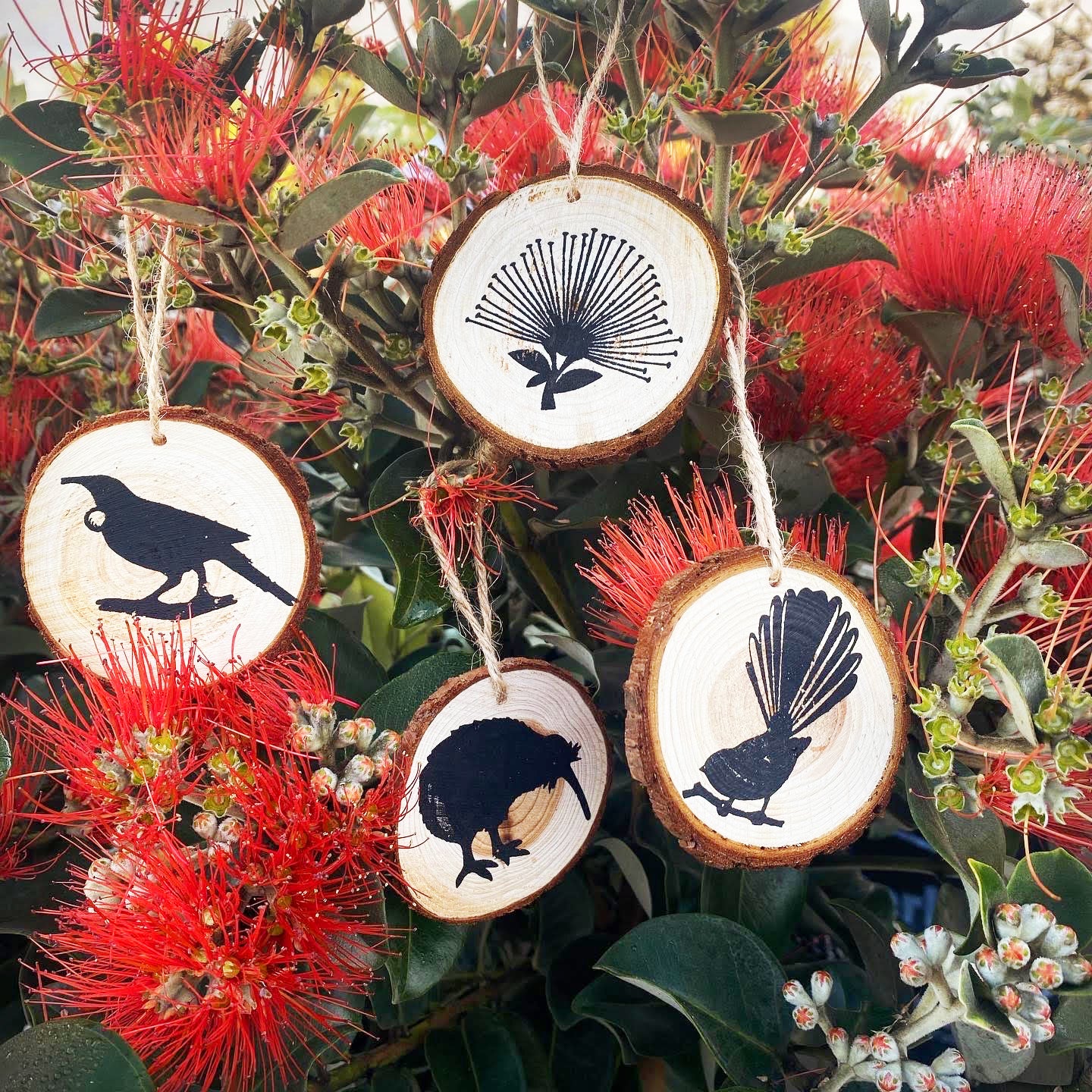 Hanging Wooden Tree Slice Pohutukawa Round Natural