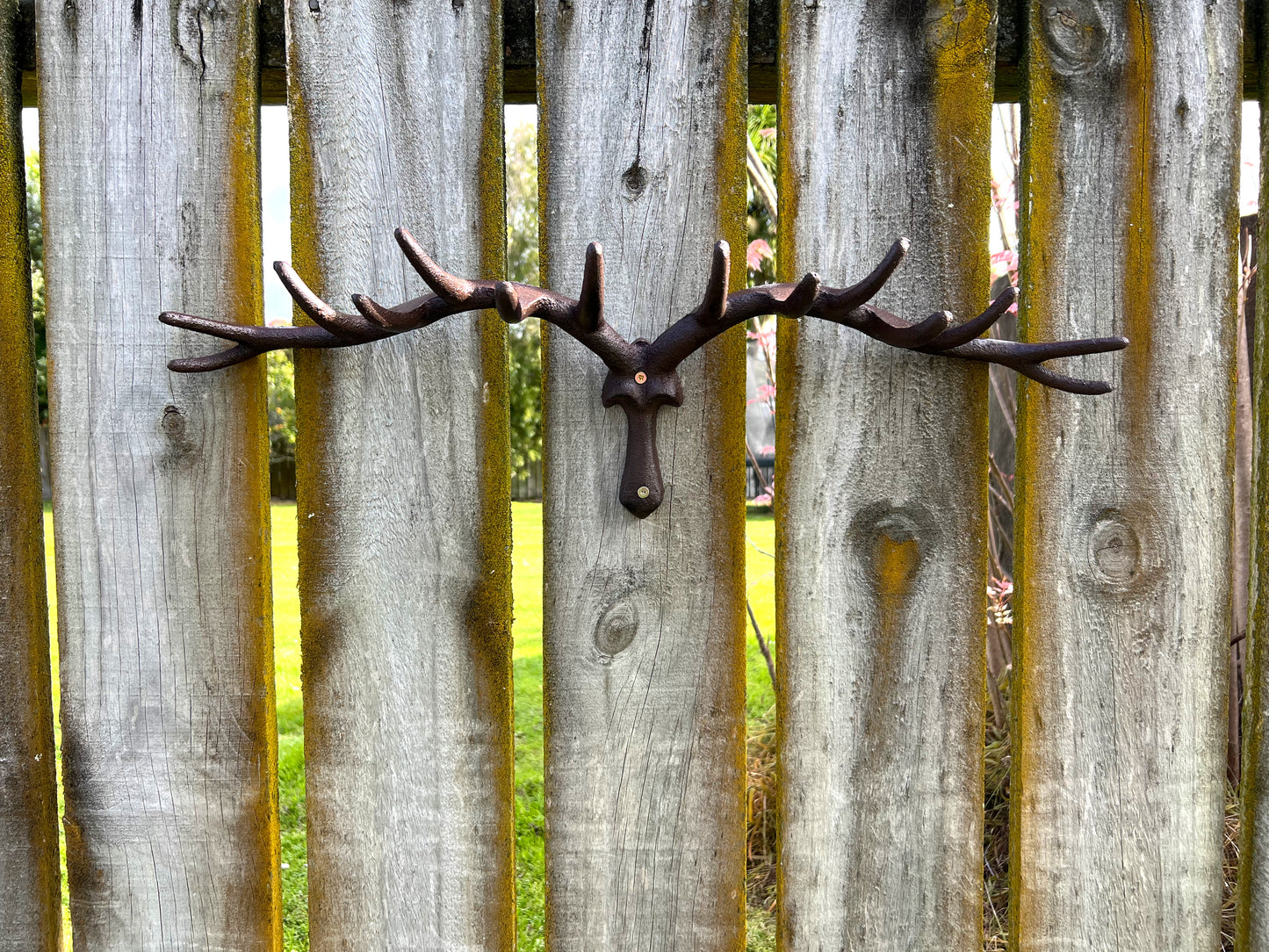 Antler Hook Large