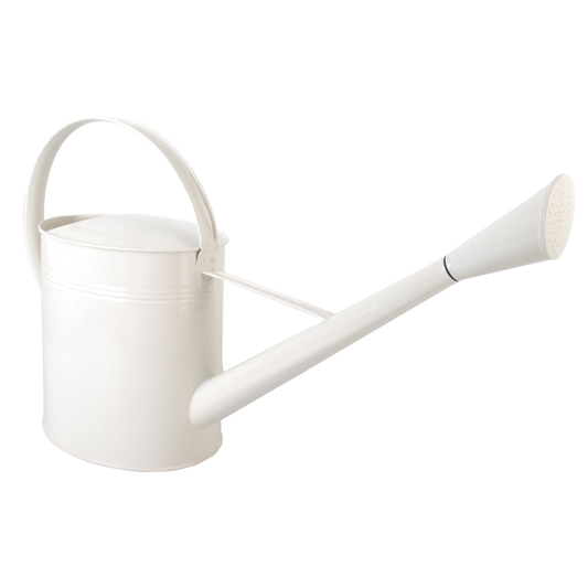 Outdoor Watering Can Cream