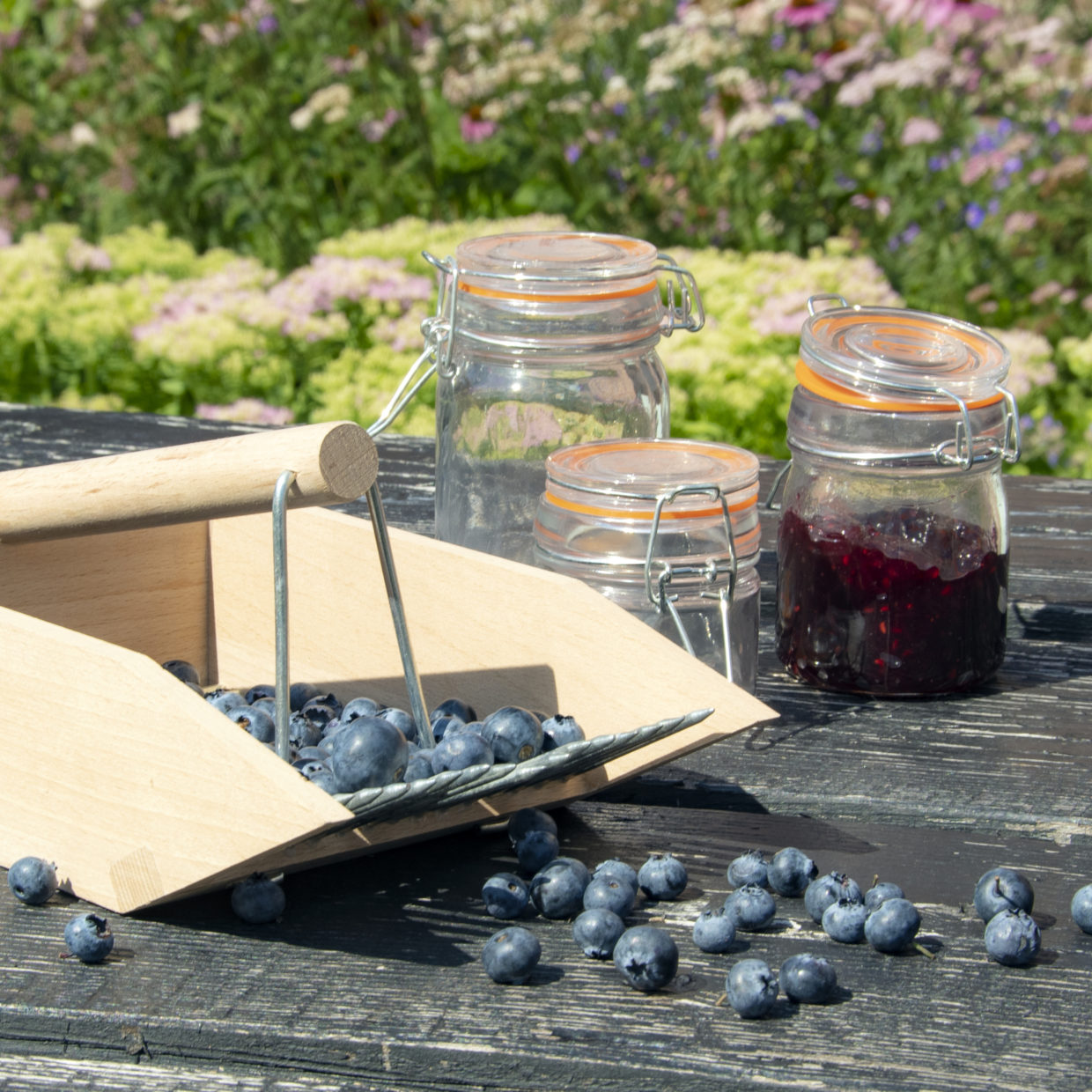 Berry Picker Wooden