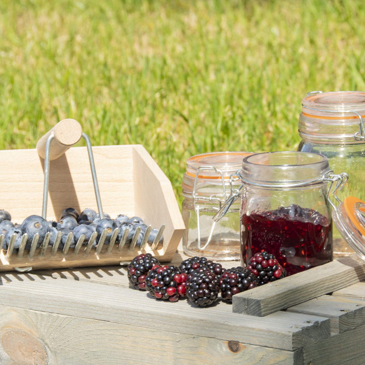 Berry Picker Wooden