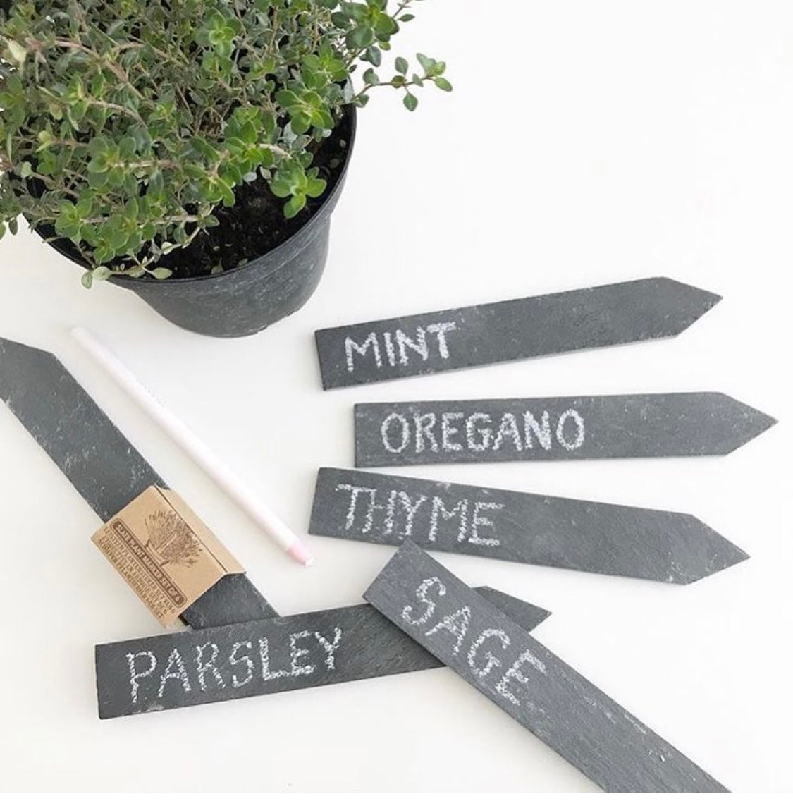 Slate Plant Marker Set of 6