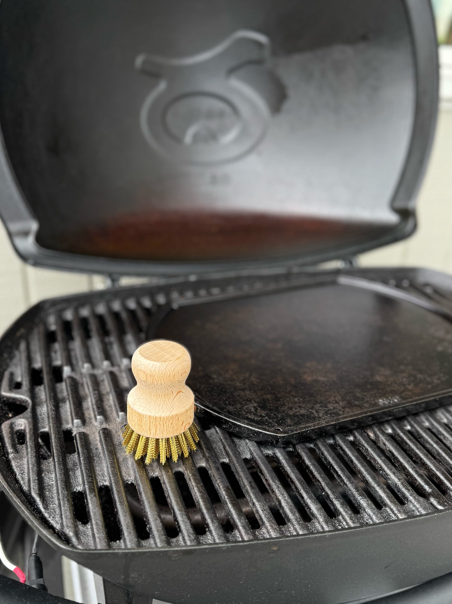BBQ Brush