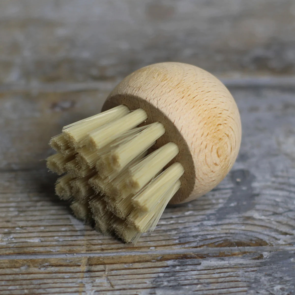 Mushroom Brush