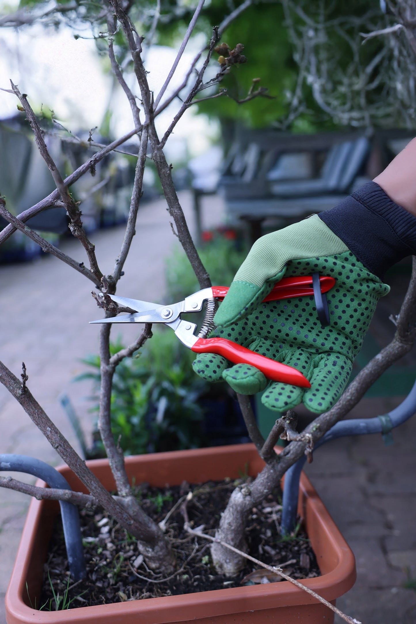 Thinning Pruner Stainless Steel with Red Handle