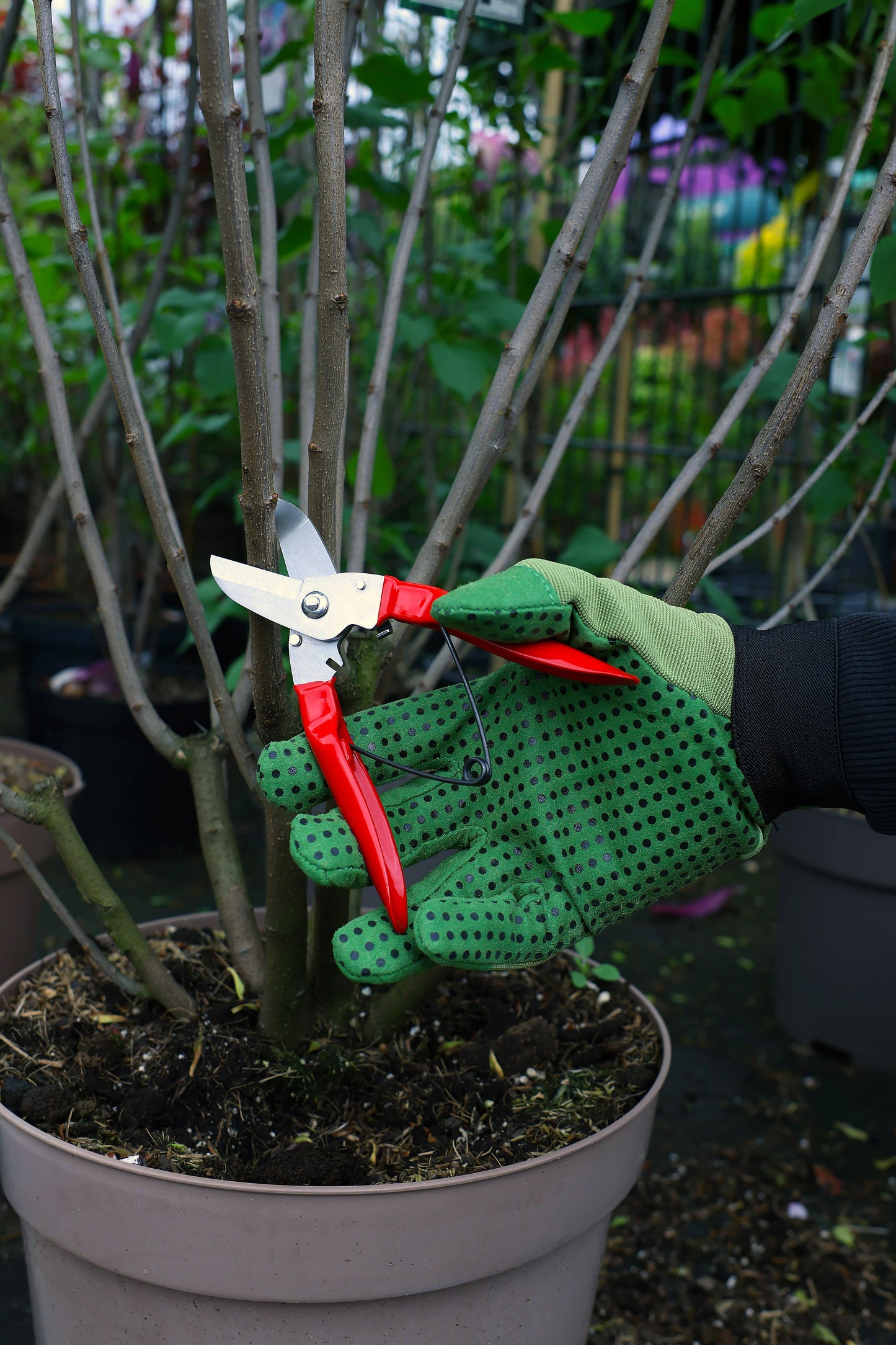 Branch Pruner Stainless Steel with Red Handle