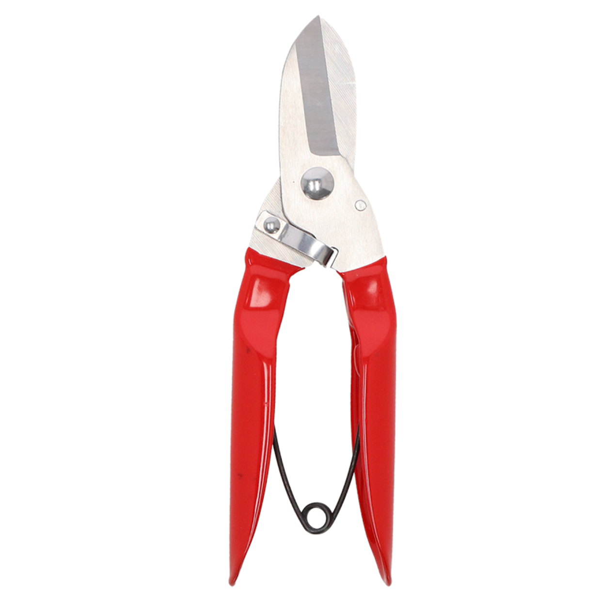 Branch Pruner Stainless Steel with Red Handle
