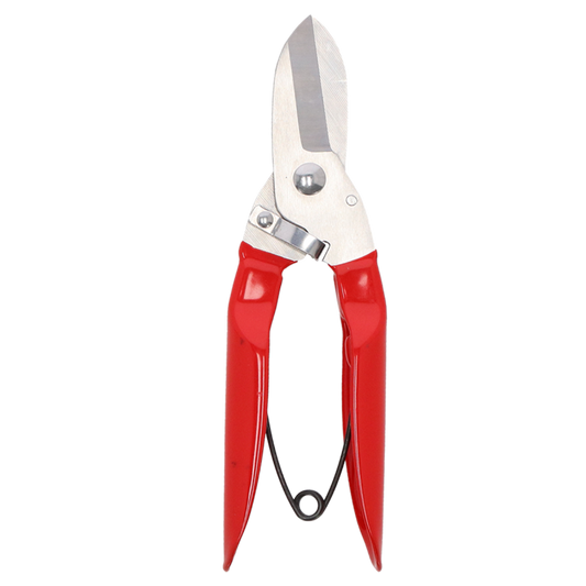 Branch Pruner Stainless Steel with Red Handle