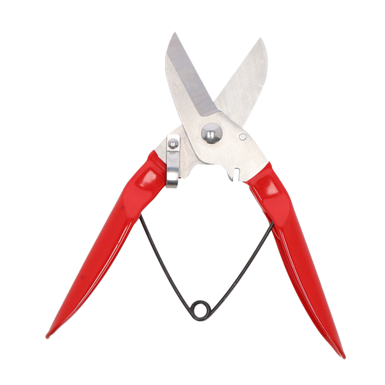 Branch Pruner Stainless Steel with Red Handle