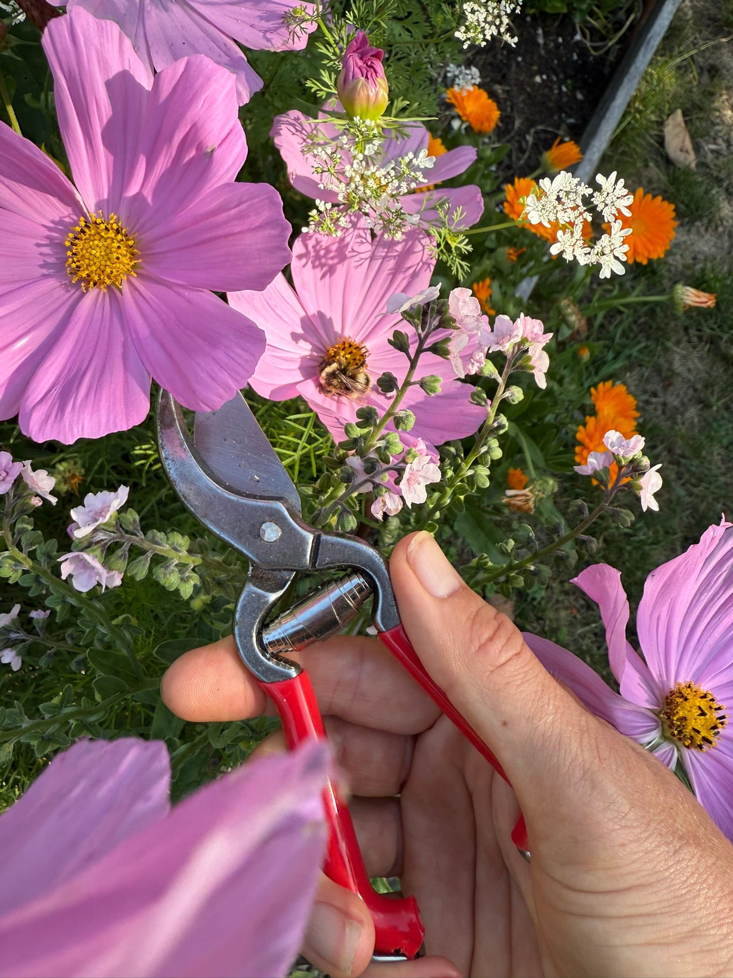 Pruner with Red Handle