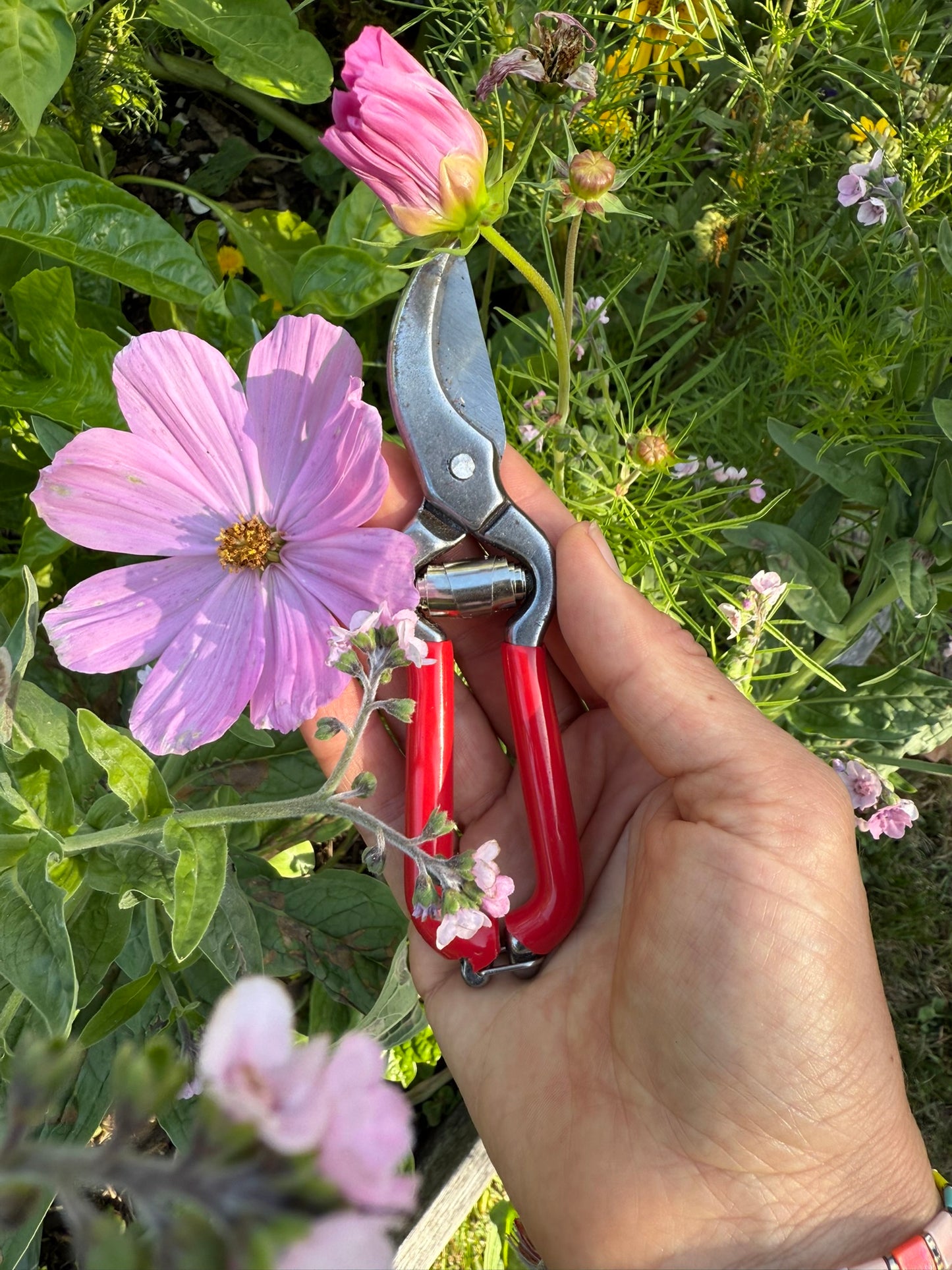Pruner with Red Handle